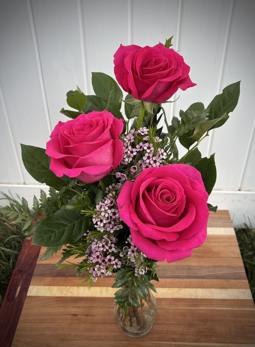 Rose Bud Vase - Three hot pink roses with waxflower in a bud vase